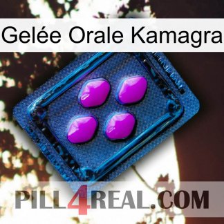 Gelée Orale Kamagra 04